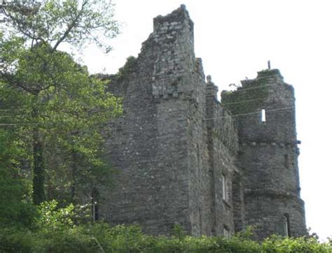 Newport Castle and Old Castle (Hen Gastell)-Pembrokeshire Wales