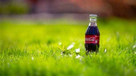 Wallpaper : flowers, bottles, field, green, Coca Cola, flower, meadow ...