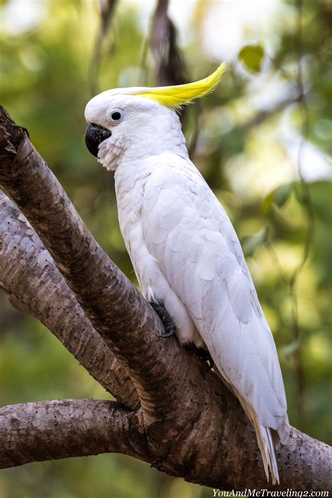 Kakadu National Park: Open Air Gallery - You&MeTraveling2