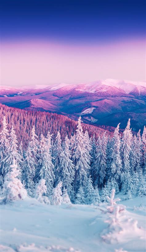 Free Cute Winter Wallpapers - Wallpaper Cave