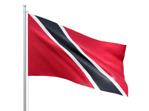 Trinidad And Tobago Flag Stock Photos, Pictures & Royalty-Free Images - iStock