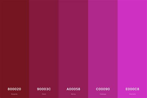 25+ Best Magenta Color Palettes with Names and Hex Codes – CreativeBooster