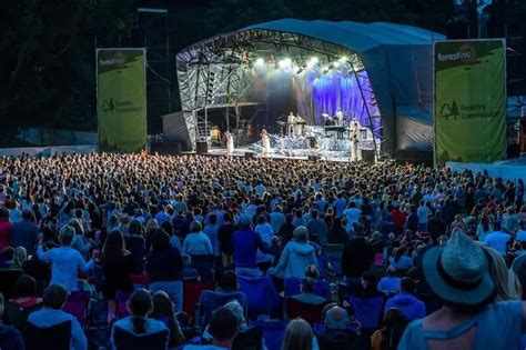 First act announced for summer 2021 gig at Delamere Forest - Cheshire Live