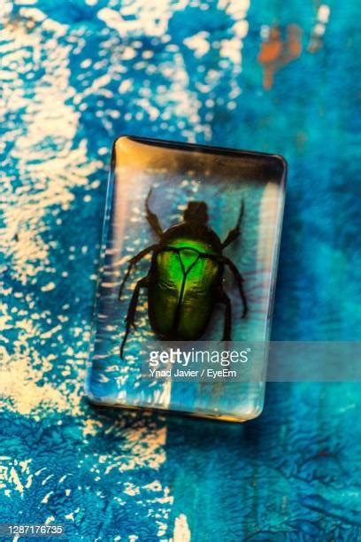 Glass Display Case Empty Photos and Premium High Res Pictures - Getty Images