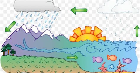 Water Cycle Diagram Clip Art, PNG, 1200x630px, Water Cycle, Area, Cartoon, Condensation, Diagram ...