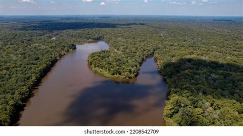 242 Cypress Knees Louisiana Images, Stock Photos & Vectors | Shutterstock