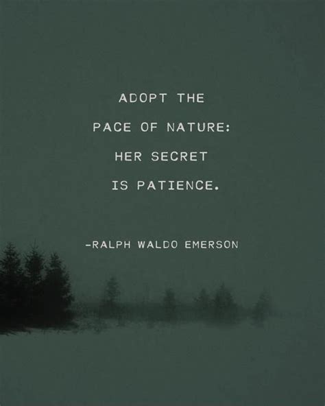 Ralph Waldo Emerson Nature Quotes - ShortQuotes.cc