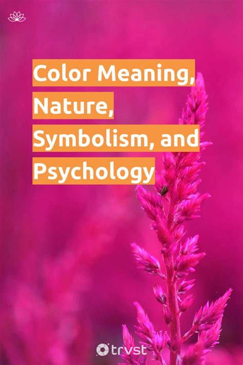 Color Meaning, Nature, Symbolism, and Psychology | Color meanings, Color symbolism, Psychology