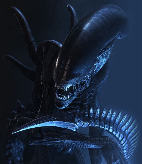 Xenomorph - Alien Wiki