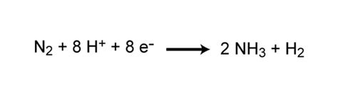 Nitrogen - Nature's Explosive Building Blocks - NaturPhilosophie