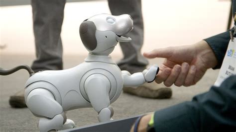 Sony's new Aibo is a very good robot dog - YouTube