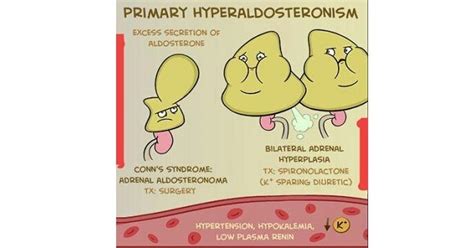 Conn's syndrome - www.medicoapps.org