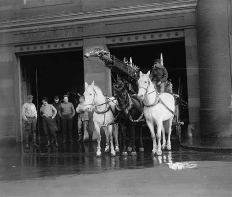 Fire Engine, Horse Drawn Wagon, Early 1900's, Old Photo, Black and ...