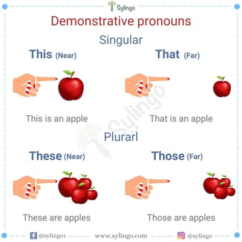 Plural Demonstrative Pronouns