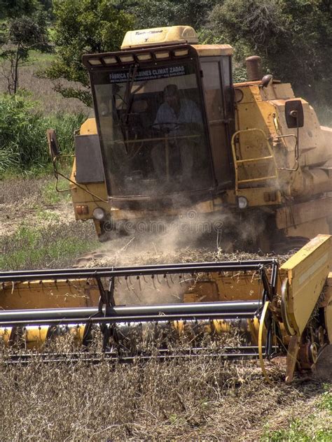 Soybean harvesting editorial stock photo. Image of farm - 114633303