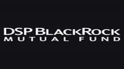 DSP BlackRock MF launches close-ended multicap fund; offer to end March 1