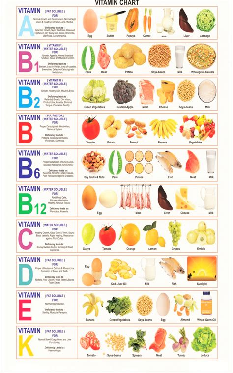 Different types of food sources