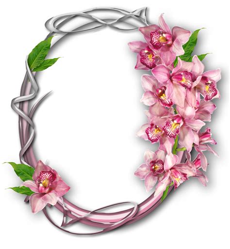 the letter o with pink flowers and green leaves