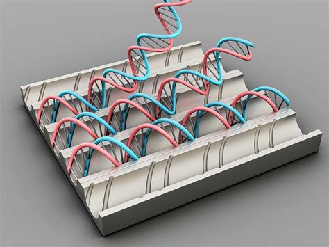 Genetic Engineering Photograph by Laguna Design/science Photo Library