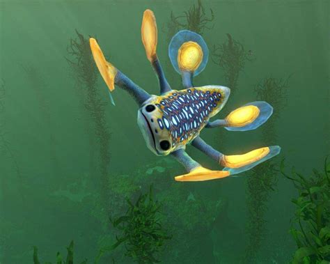 Hoverfish | Wiki | Subnautica💧 Amino