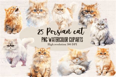 Persian Cat Watercolor Clipart Graphic Graphic by Susandesign · Creative Fabrica