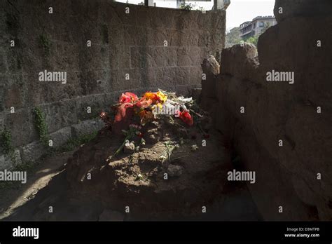 Flowers on the remains of the altar in the Temple of Caesar in Rome's ...