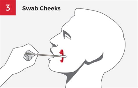 Buccal Swab DNA-Collection Instructions | DDC