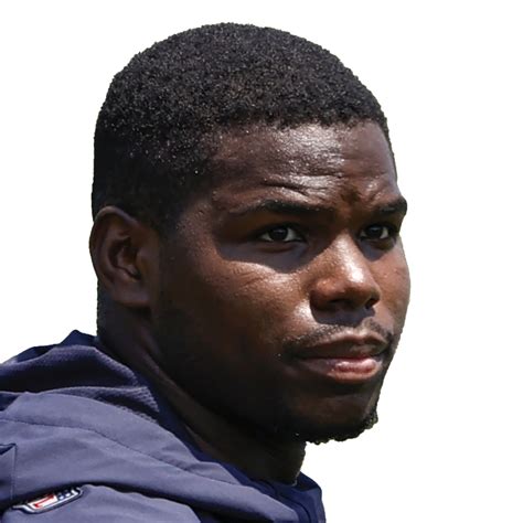 Tarik Cohen Fantasy Stats and News | FantasyData