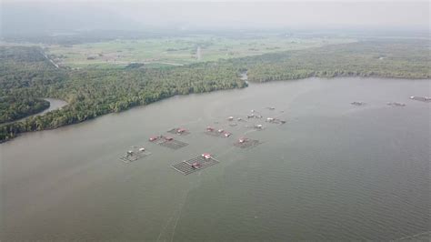 Aerial fish farm at Sungai Merbok River. 8927992 Stock Video at Vecteezy