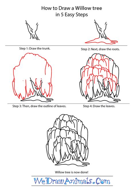 How to Draw a Willow Tree