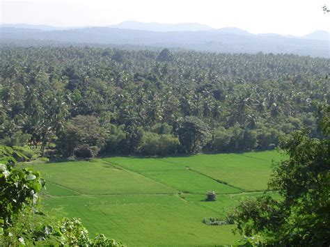 Dambadeniya Kingdom 3 | View from the top of Damdadeniya roc… | Flickr