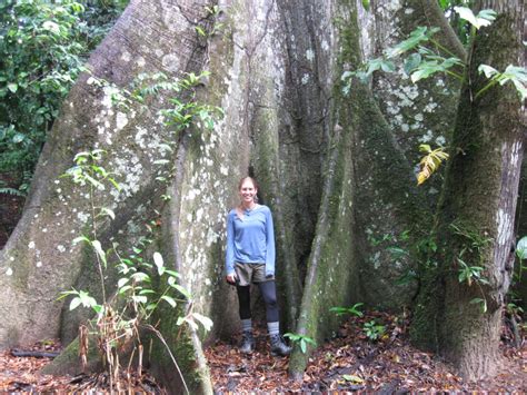 The Rainforest of Tambopata National Reserve, Peru - GoMad Nomad Travel Mag