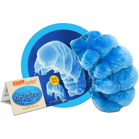 Giant Microbes Plush - Waterbear (Tardigrade) - Walmart.com - Walmart.com