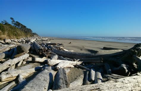 Kalaloch Campground – Cascadia Ramblings