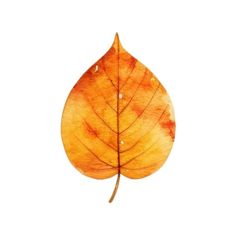 Hojas de otoño de acuarela | Vector Premium