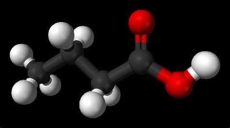 Butyric acid - Alchetron, The Free Social Encyclopedia