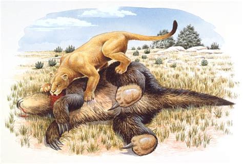 Revolutionary Find: Megatherium Fossils reveals truth