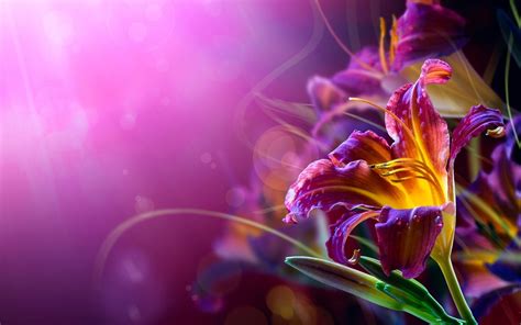 Cool abstract flower wallpaper HD Free Download