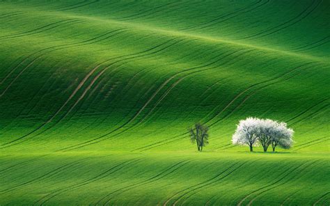 Green Scenery Wallpapers - Top Free Green Scenery Backgrounds - WallpaperAccess