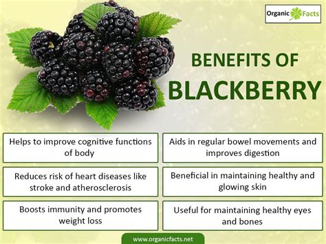 Unbiased info on nutrition, benefits of food & home remedies | Blackberry benefits, Blackberry ...