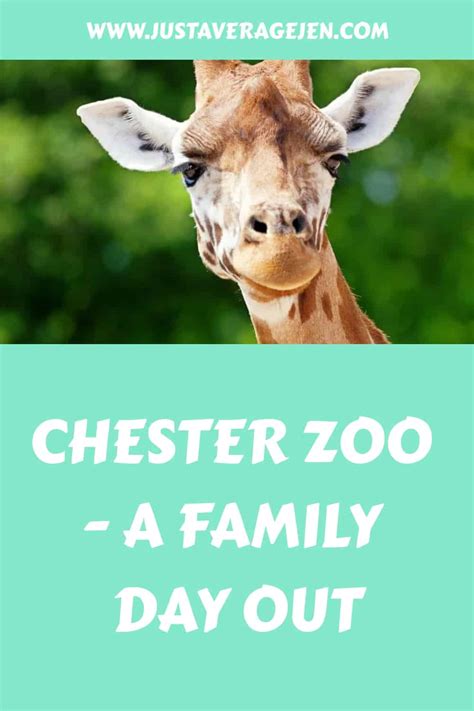 Chester Zoo an amazing family day out with disabled accessibility