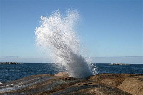 The Bicheno Blowhole: Geology at its Most Playful ~ Kuriositas