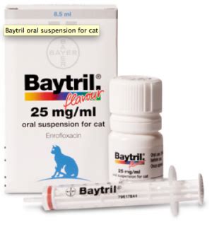 baytril oral suspension flavoured for cats