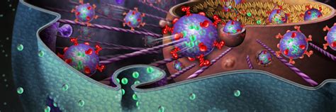 Scientific Illustrations Part II: Molecular Graphics and Animation