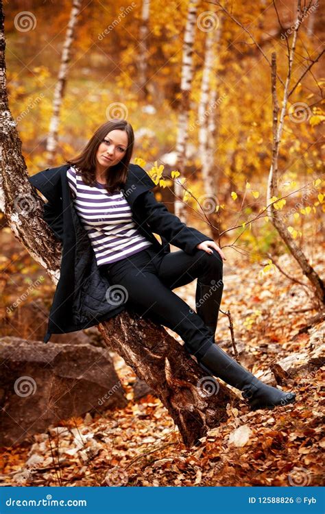 Fall Portrait of a Beautiful Woman Stock Photo - Image of adult, expression: 12588826