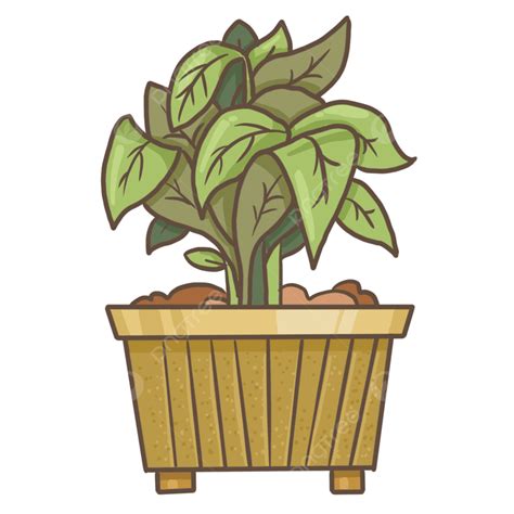 Plant On Planter, Plant, Planter, Cute PNG Transparent Clipart Image ...