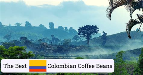 The 10 Best Colombian Coffee Beans (Expert Selection)