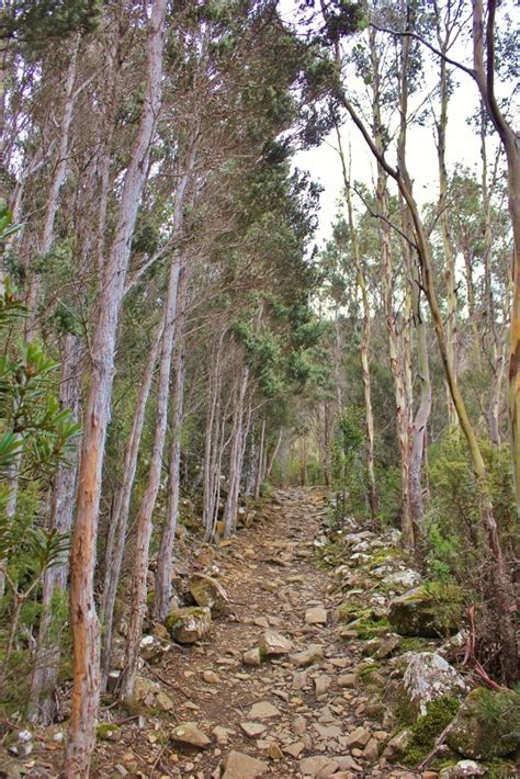 Hiking down Mount Wellington in Hobart - Jetsetting Fools