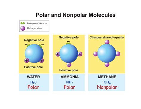 Why Does Nonpolar Dissolve Nonpolar