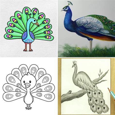 Top 154+ How to draw a cartoon peacock - Tariquerahman.net